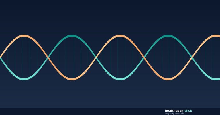 healthspan.click - research